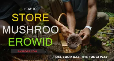 The Ultimate Guide to Storing Mushrooms