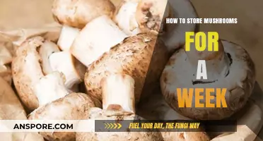 Fresh Mushrooms All Week: Simple Storage Tips for Longevity