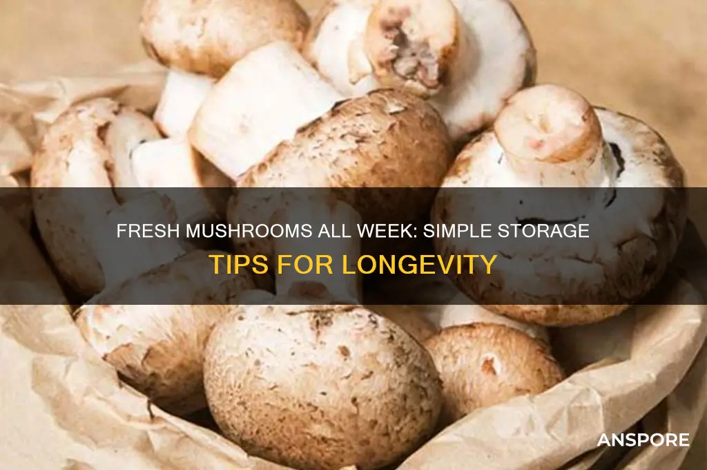 how to store mushrooms for a week