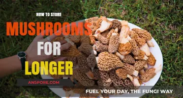Effective Mushroom Storage Tips: Keep Your Fungi Fresher for Longer