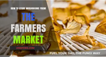 Fresh & Flavorful: Expert Tips for Storing Farmers Market Mushrooms