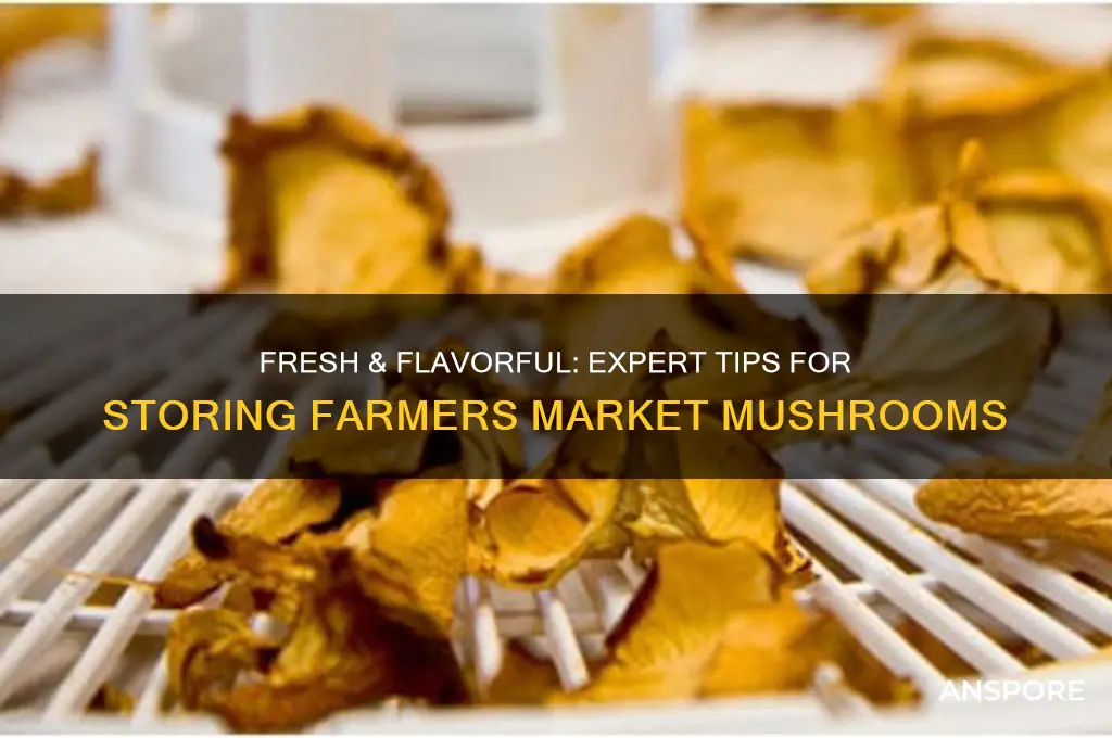 how to store mushrooms from the farmers market