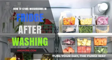 Properly Storing Washed Mushrooms in the Fridge for Freshness