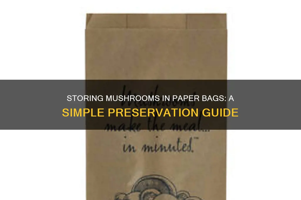 how to store mushrooms in paper bag