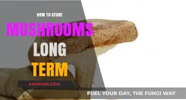Effective Long-Term Mushroom Storage Tips for Freshness and Flavor Preservation