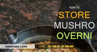 Best Ways to Store Mushrooms Overnight