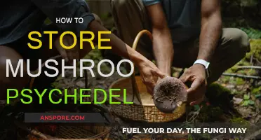 The Magic of Mushroom Storage: Keep Your Trips Fresh