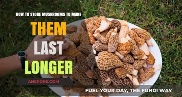 Maximize Mushroom Freshness: Expert Tips for Long-Lasting Storage Solutions