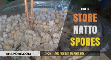 Mastering Natto Preservation: Effective Techniques for Storing Natto Spores