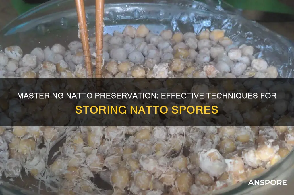 how to store natto spores