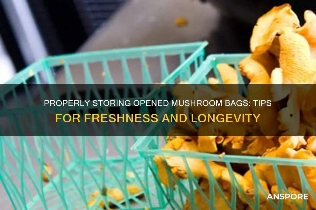 how to store opened bag of mushrooms