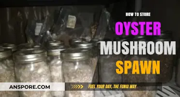 Effective Oyster Mushroom Spawn Storage Tips for Longevity and Success