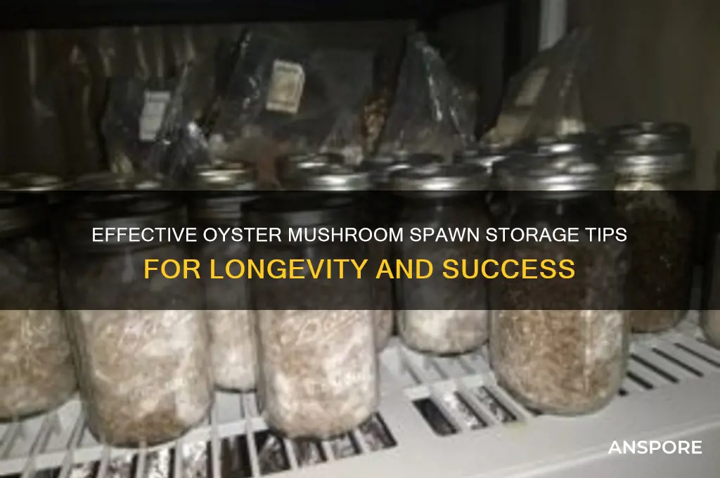 how to store oyster mushroom spawn
