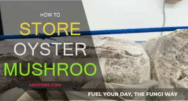 The Ultimate Guide to Storing Oyster Mushrooms
