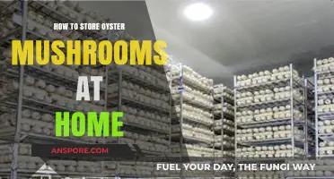 Proper Oyster Mushroom Storage Tips for Freshness at Home