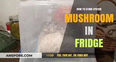 Proper Oyster Mushroom Storage: Fridge Tips for Freshness and Longevity