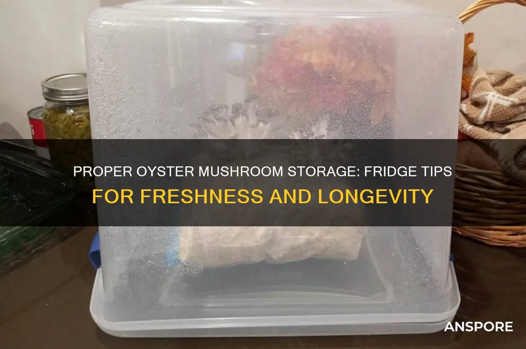 how to store oyster mushrooms in fridge