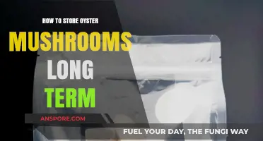 Effective Long-Term Storage Tips for Preserving Oyster Mushrooms Freshness