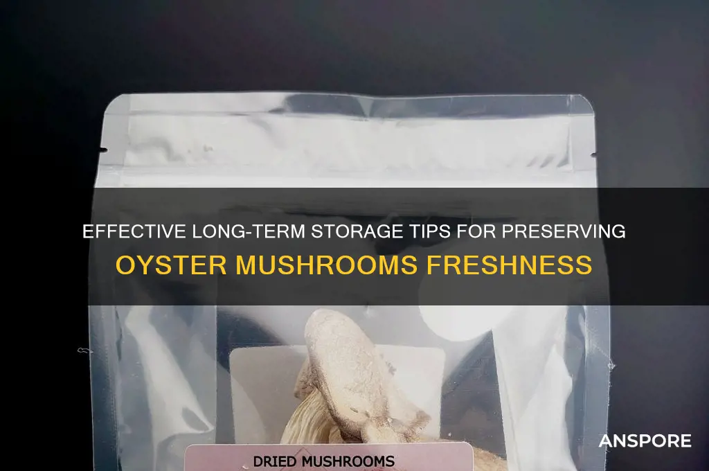 how to store oyster mushrooms long term