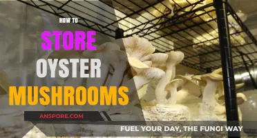 Storing Oyster Mushrooms: Best Practices