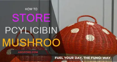The Ultimate Guide to Storing Magic Mushrooms