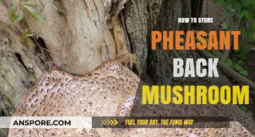 Properly Storing Pheasant Back Mushrooms: Tips for Freshness and Flavor