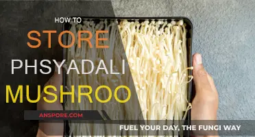 The Ultimate Guide to Storing Psychedelic Mushrooms