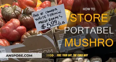The Best Way to Store Portabella Mushrooms