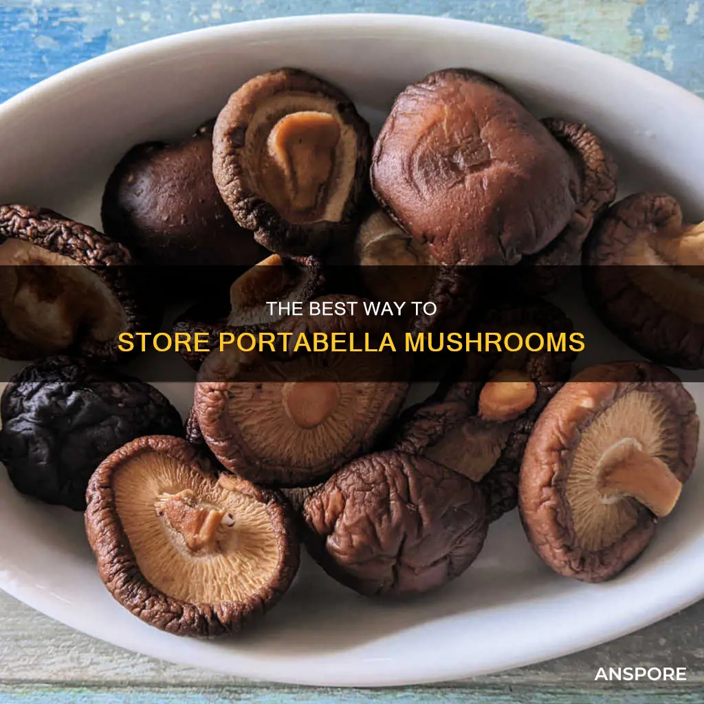 how to store portabella mushrooms