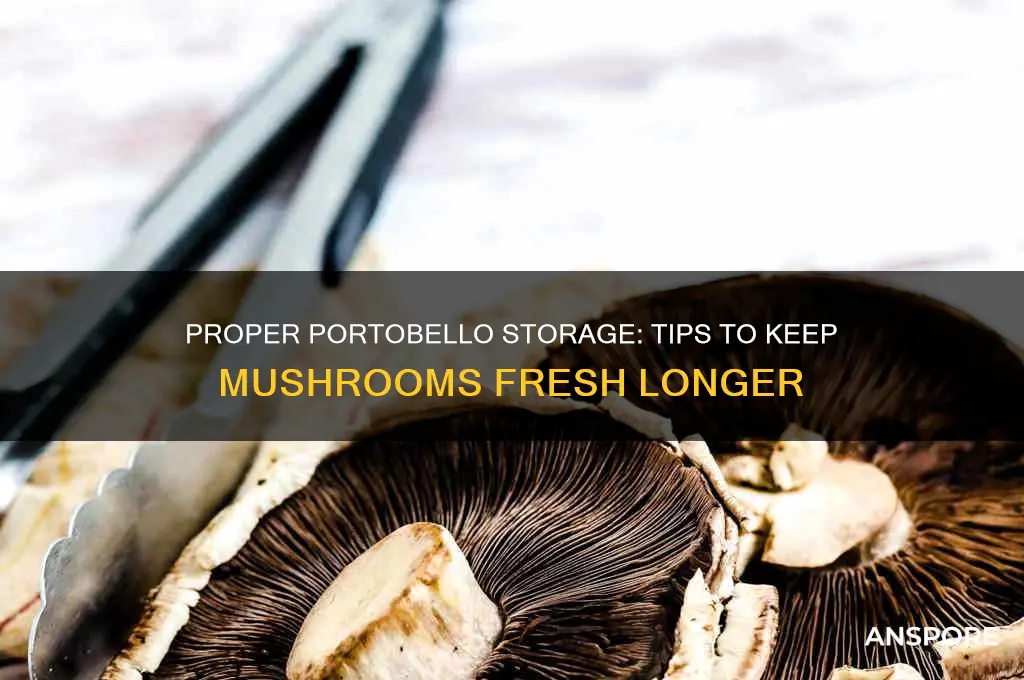 how to store portobello mushroom