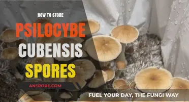 Proper Storage Techniques for Preserving Psilocybe Cubensis Spores