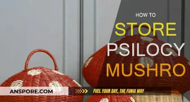 The Ultimate Guide to Storing Psilocybe Mushrooms