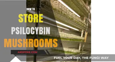 The Ultimate Guide to Storing Psilocybin Mushrooms