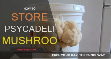 The Ultimate Guide to Storing Psychedelic Mushrooms