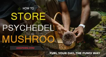 The Ultimate Guide to Storing Psychedelic Mushrooms