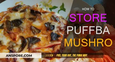 The Best Way to Store Your Puffball Mushrooms
