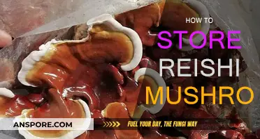 The Ultimate Guide to Storing Reishi Mushrooms