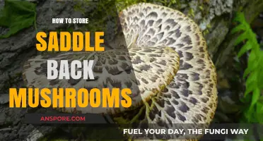 Proper Storage Tips for Saddle Back Mushrooms to Maintain Freshness