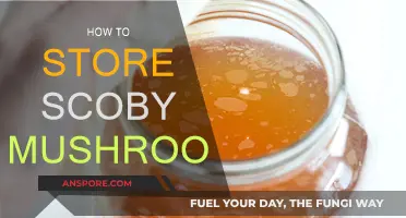 The Ultimate Guide to Storing Your SCOBY