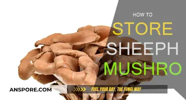 The Best Way to Store Sheephead Mushrooms