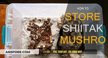 The Best Way to Store Shiitake Mushrooms
