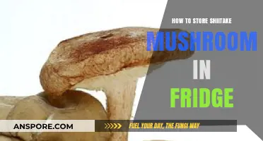 Properly Storing Shiitake Mushrooms in the Fridge for Freshness
