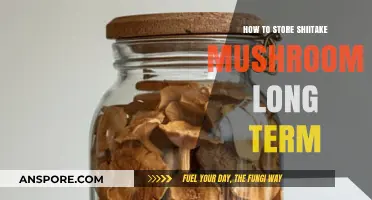 Master Long-Term Shiitake Mushroom Storage: Tips for Freshness and Flavor