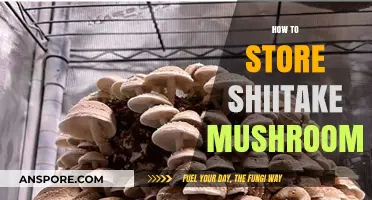 The Best Way to Store Shiitake Mushrooms