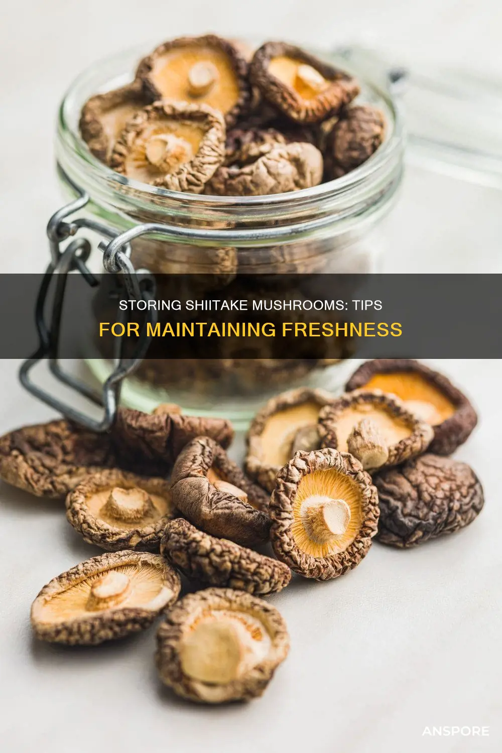 how to store shitake mushrooms