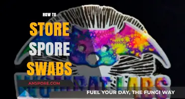 Proper Spore Swab Storage: Essential Tips for Long-Term Preservation