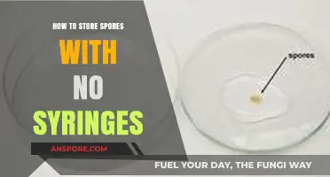 Storing Spores Without Syringes: Simple, Safe, and Effective Methods
