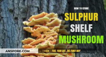 Proper Storage Techniques for Preserving Sulphur Shelf Mushrooms Freshness