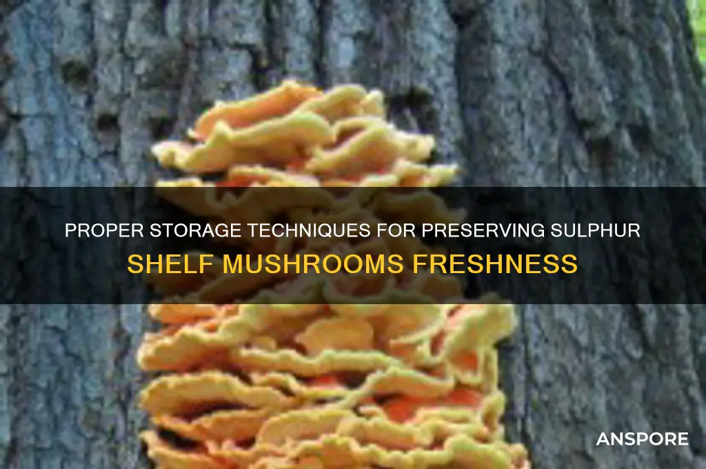 how to store sulphur shelf mushrooms