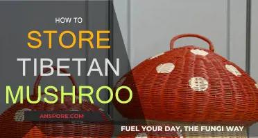 Effective Storage Methods for Tibetan Mushrooms